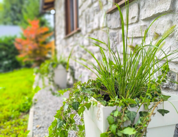 .IMG_20250906_142838